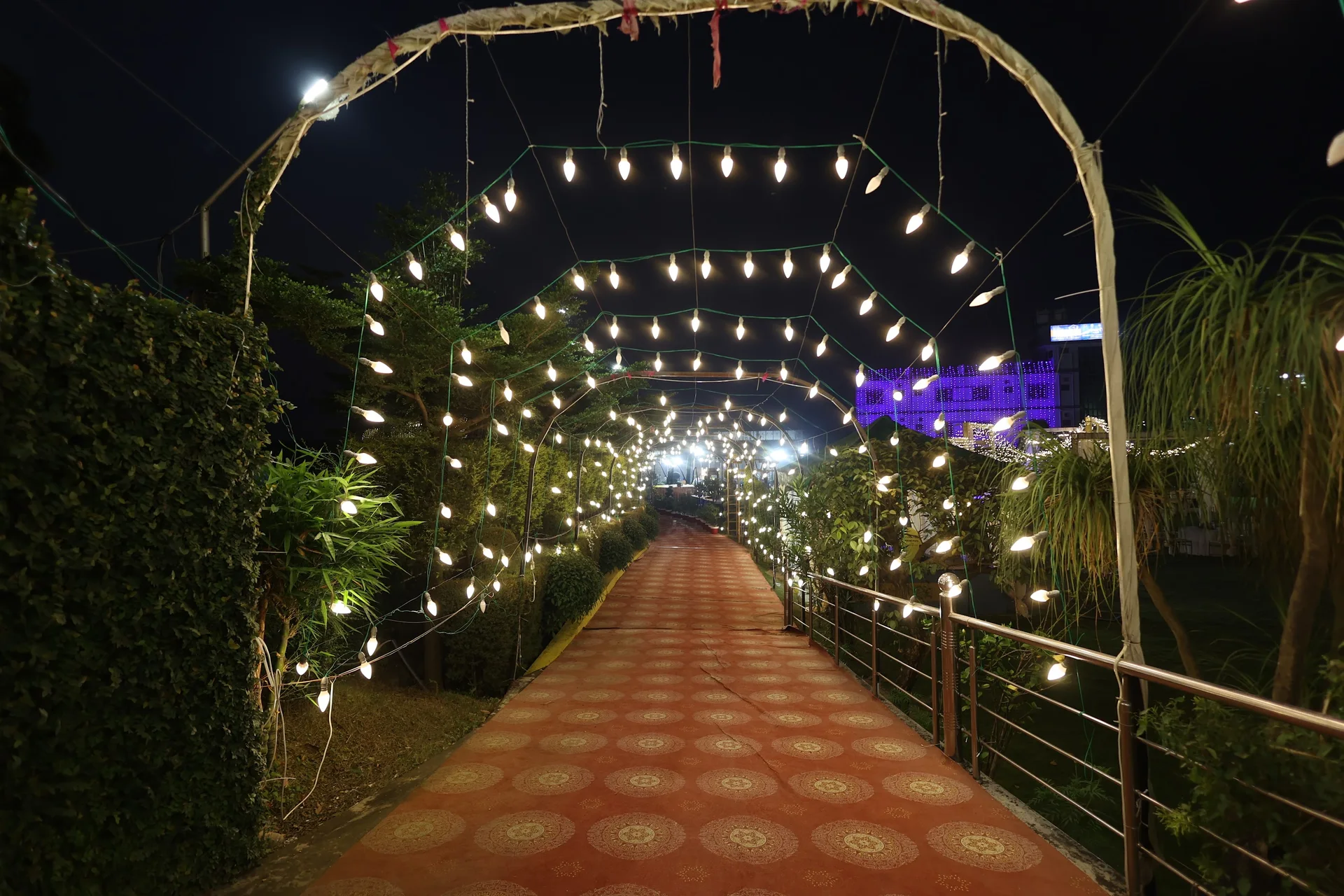 The actual garden walkway beneath arches of warm lights